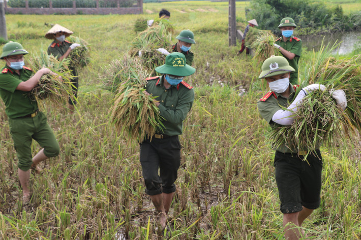 Chiều ngày 18/5/2021, dưới cái nắng 37 độ C, hàng chục cán bộ Công an huyện, huyện đoàn Sông Lô đã có mặt tại xã Yên Thạch, làm việc hăng say, mồ hôi ướt đẫm cảnh phục. Chỉ trong thời gian ngắn, ruộng lúa đã được thu hoạch gọn gàng. Việc làm ấy đã để lại những ấn tượng tốt đẹp về hình ảnh người chiến sĩ Công an với người dân nơi đây.