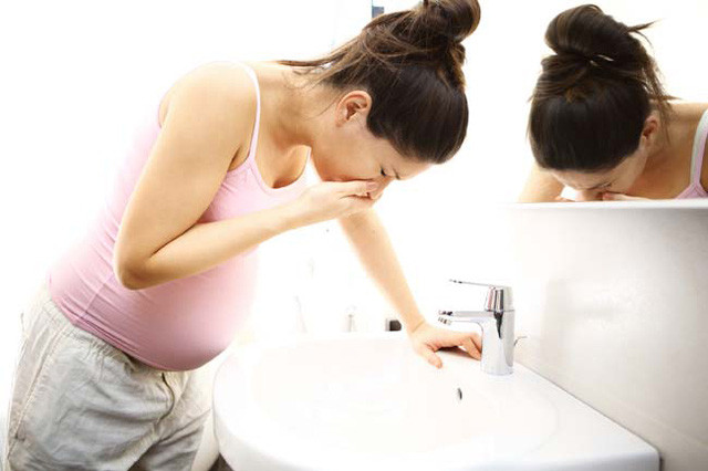 Chữa nôn mửa khi có thai: Trám 12g, vỏ quýt 9g, dùng lửa to hấp cách thủy cho chín rồi uống, mỗi ngày 1 lần, dùng để chữa chứng nôn mửa khi có thai. Ảnh: Internet.