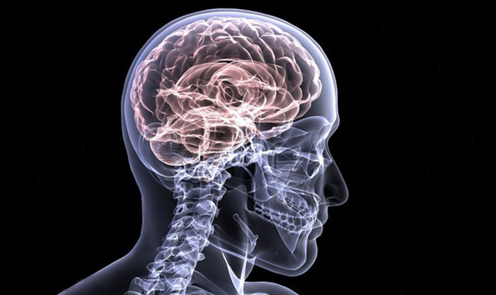 Giảm nguy cơ mắc bệnh Alzheimer: Trà xanh có thể giúp bạn phát triển sức đề kháng chống lại căng thẳng và có khả năng mắc bệnh Alzheimer. Các polyphenol bảo vệ các tế bào khỏi bị hư hại.