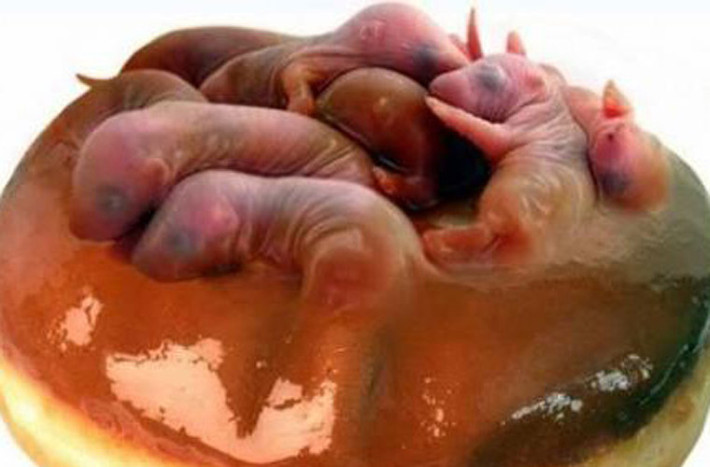 3. Món “ba tiếng hét”: Đây là món ăn khá phổ biến tại Trung Quốc. Món ăn này được ca ngợi là liều thuốc tăng cường sinh lực của phái mạnh. Giống như sâm thử, “ba tiếng hét” được chế biến từ những con chuột đỏ hỏn chưa kịp mọc lông và mở mắt.