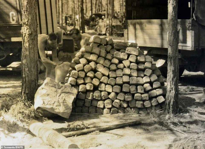 Hai lính Đức quốc xã chuẩn bị thực phẩm cho đồng đội năm 1941. Mời độc giả xem video: Tiếp tục truy tìm tội phạm chiến tranh thời phát xít Đức (nguồn: VTC14)