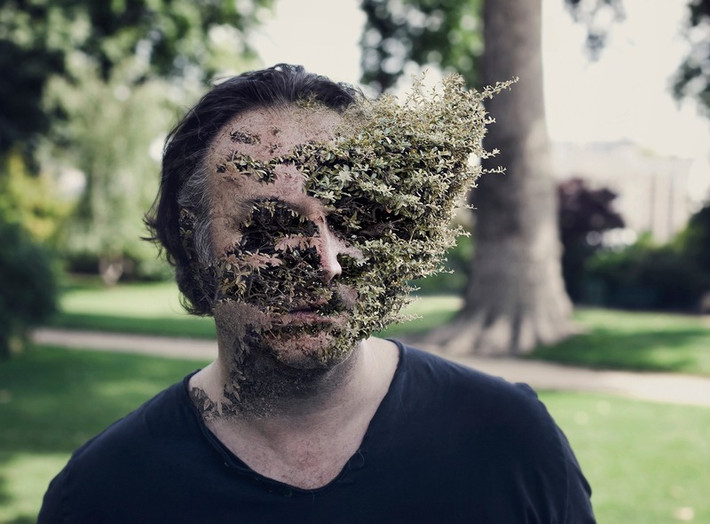 Được biết, loạt tác phẩm này được nghệ sĩ Cal Redback gọi là ""Treebeard" theo tên của một nhân vật người cây trong bộ phim "Chúa tể của những chiếc nhẫn". (Nguồn Sina)