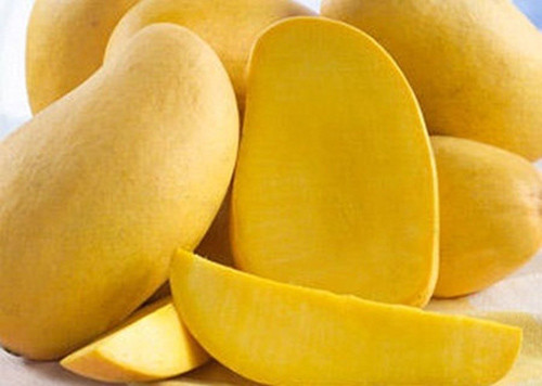 Lớp vỏ ngoài của xoài có công dụng như chất resveratrol, giúp đốt cháy và ngăn ngừa sự phát triển của các tế bào chất béo.