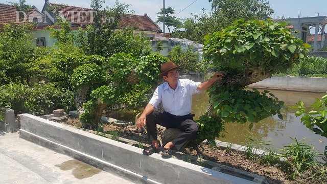 "Đây là cây tôi tâm đắc nhất nên dù đã được trả giá trăm triệu nhưng vẫn không bán mà giữ lại để chơi" - ông Túy tâm sự.