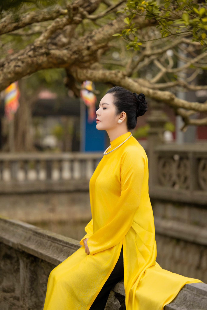 Thời gian vừa qua, Đinh Hiền Anh đánh dấu sự trở lại của mình trong làng nhạc với loạt ca khúc mới như: Hát văn Quan Hoàng Mười, Về thôi xứ nghệ quê ơi và mới nhất là Một vòng Việt Nam (tác giả Đông Thiên Đức).