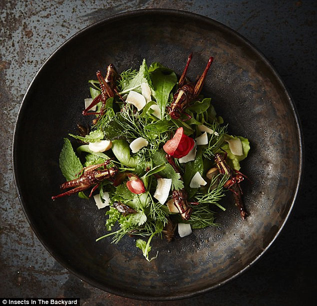 Nhà hàng còn dphục vụ thực khách món salad trộn châu chấu nướng. Ảnh: DailyMail.
