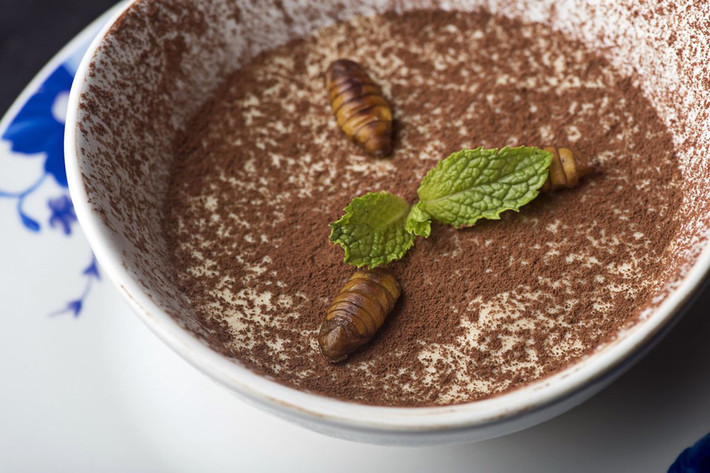 Món tráng miệng tiramisu làm từ bột tằm xay nhuyễn kèm 3 nhộng tằm. Ảnh: Bloomberg.