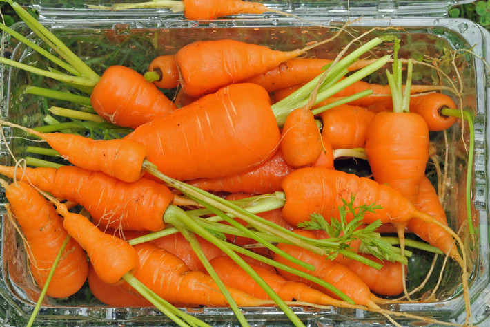 Cà rốt: Thứ rau củ màu cam này chứa beta carotene nên khi ăn vào cơ thể giúp trung hòa độc tố, cải thiện chứng táo bón. Nếu bạn ăn cà rốt thường xuyên, đặc biệt là cà rốt tươi sẽ giúp nhuận tràng, thông đại tiện và tăng cường khả năng hấp thụ dinh dưỡng vào trong cơ thể. Ảnh: NPR.