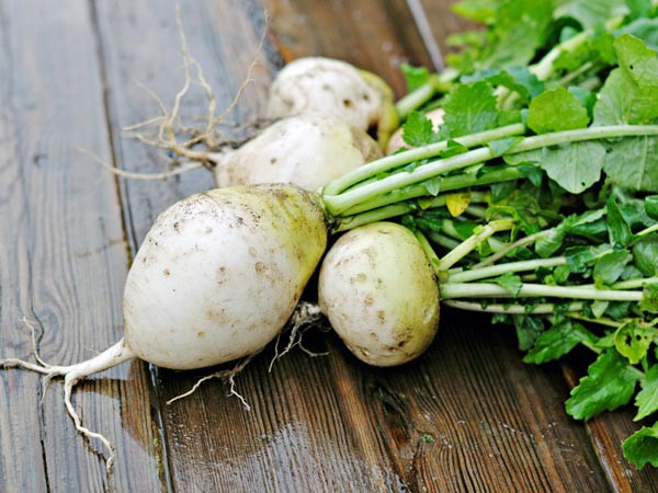 Củ cải trắng: Củ cải chứa nhiều vitamin, khoáng chất và chất xơ. Đây là lý do tại sao bạn nên đưa chúng vào chế độ ăn uống của bạn. Củ cải được biết đến có thể điều chỉnh các kích thích tố tăng trưởng trong cơ thể của chúng ta, do đó nó đóng góp khá nhiều trong việc tăng chiều cao. Ảnh: Boldsky.