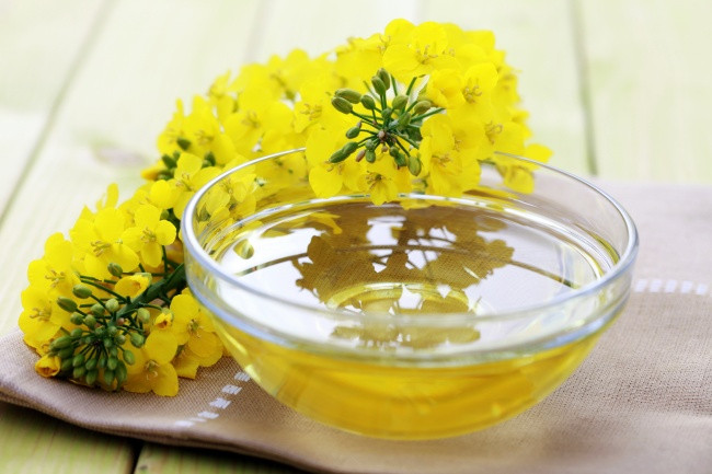 5. Canola và dầu hạt cải là cùng một sản phẩm: Tên gọi "canola" thực sự có nghĩa là dầu Canada, axit thấp. Nó khác với dầu hạt cải thông thường chỉ bởi giảm lượng axít erucic 2%, không chỉ ảnh hưởng tiêu cực đến vị giác mà còn độc hại cho tim. Ảnh: Depositphotos.
