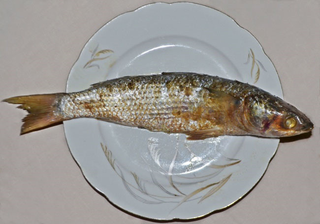 11. Cá đối sống ủ muối (Feseekh): Đây là một trong nững món ăn truyền thống của người Ai Câp, làm từ cá đối Mugil ủ lên men. Ở Ai Cập, món cá này trở thành món ăn truyền thống trong lễ hội Sham el-Nessim để chào mừng mùa xuân. Mặc dù Bộ Y tế luôn cảnh báo mọi người về hậu quả chết người khi ăn món này nhưng tình yêu dành cho món ăn truyền thống của họ rất lớn. Ảnh: Brightside.