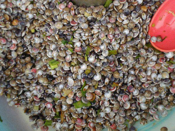 Ốc lể: Ốc lể hay còn gọi là ốc gạo, ốc ruốc hay ốc ngũ sắc là món quà quý mà biển ban tặng cho người dân miền Trung. Ốc lể được bày bán ở nhiều nơi nhưng món ốc lể ở Quảng Bình khá đặc biệt vì nó có hương vị riêng mang đậm chất biển nơi đây. Món ốc này khi ăn phải dùng gai cây chanh, cây bưởi hoặc cây đốm để kết hợp với mùi thơm của ốc. Ảnh: GĐ&XH.