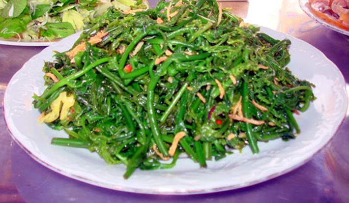 Rau dớn có vẻ ngoài giống cây dương xỉ, cành dài lá nhỏ, mặt lá có màu xanh nhẵn, cuống lá có lông. Người ta lấy lá non, ngọn non dùng luộc, nấu canh, xào thịt, làm nộm cũng có thể dùng ăn sống. Ảnh: Biggreen.