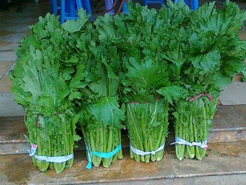 Cải mèo ở Mộc Châu: Loại rau này được trồng quanh năm. Lúc đầu ăn ngăm đắng nhưng càng ăn lại càng thấy ngọt và giòn. Cải mèo được chế biến thành nhiều món khác nhau như: luộc chấm xì dầu, nấu canh, nhúng lẩu hoặc xào tỏi cùng thịt bò, thịt gà…Ảnh: Dulichmocchau.