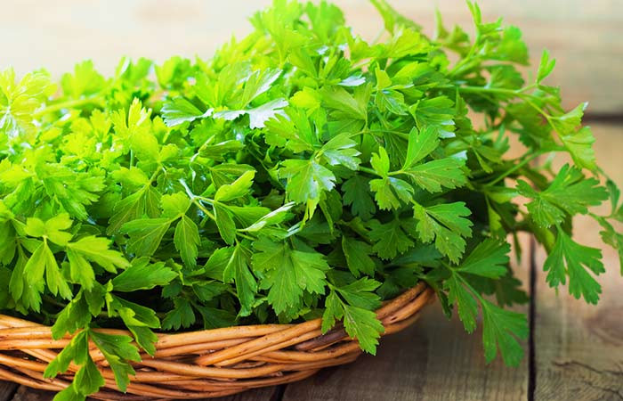 6. Mùi tây: Bạn cần chuẩn bị một ít rau mùi tây, 1-2 củ cải hoặc củ cải đỏ hoặc 1/2 quả dưa chuột. Tiếp theo, pha nước ép rau mùi tây với loại củ quả bạn chọn để uống. Bạn hãy uống nước ép này 2 lần mỗi ngày. Mùi tây là một thực phẩm lợi tiểu tự nhiên, đồng thời làm tăng sự lưu thông và còn có đặc tính chống viêm. Điều này giúp bạn đẩy lùi chứng đi tiểu đục. Ảnh: Shutterstock.