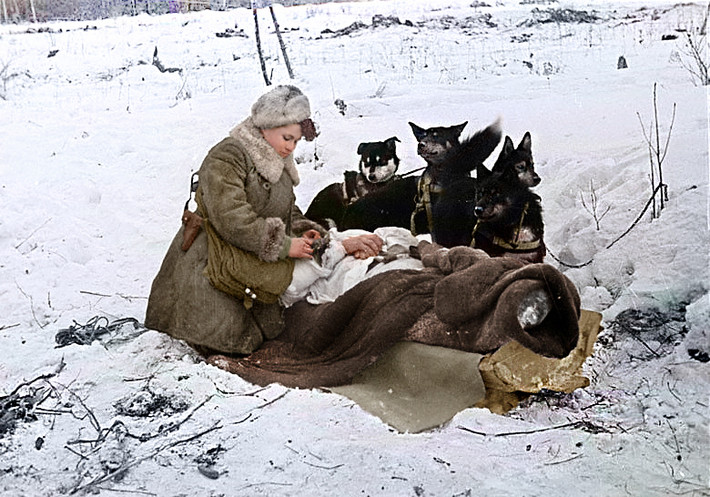 Khi phát xít Đức tấn công Liên Xô vào tháng 6/1941, bà Bashkirova (khi ấy đã kết hôn, có 2 con và đã 40 tuổi) xin gia chiến trường. Lần này, bà làm nhiệm vụ với ới vai trò y tá trưởng tại bệnh viện quân sự Murmansk.