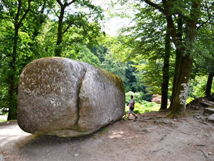 Điều này khiến giới chuyên gia tò mò vì sao người ta có thể khiến tảng đá Trembling Rock di chuyển. Tuy nhiên, đến nay, họ vẫn chưa tìm ra lời giải chính xác cho sự việc này.