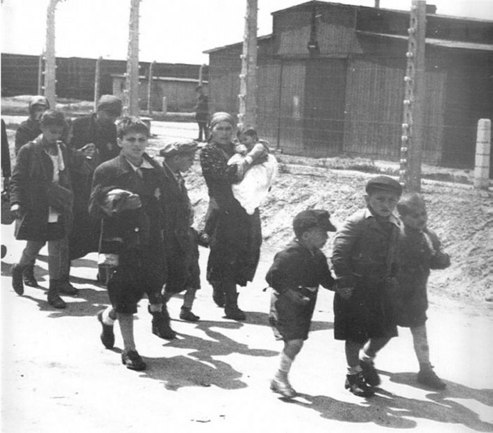 Trẻ em Do Thái nắm tay nhau và bước đi trong trại tập trung Auschwitz mà không hay biết đích đến là nơi các em sẽ bị lính Đức quốc xã tước đoạt mạng sống theo những cách rùng rợn.