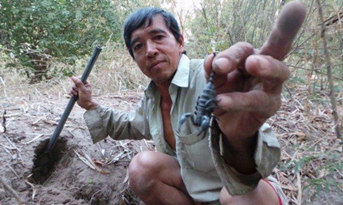 Để có được những con bò cạp chắc thịt, to càng về làm nguyên liệu, người ta phải lên tận núi cao để săn về. Dụng cụ để săn bò cạp thường có một cây cuốc, một cây kẹp và một chiếc xô.