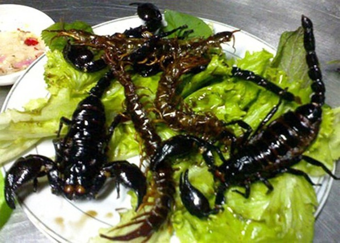 Đối với người dân vùng Bảy Núi, bò cạp là động vật vừa có thể làm thuốc trị bệnh vừa có thể chế biến thành nhiều món ăn ngon, bổ dưỡng.