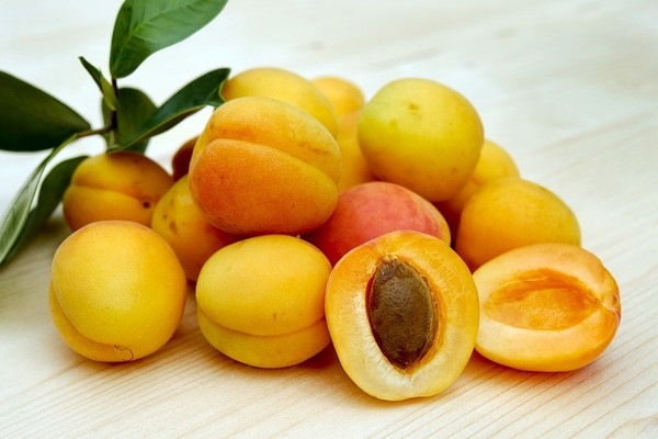 Giảm cân: Mơ là một loại trái cây có hàm lượng calo thấp sẽ tạo ra một sự bổ sung tuyệt vời cho chế độ ăn kiêng. 100 gram quả mơ chứa 45 calo. Chất xơ không hòa tan có trong quả mơ sẽ giữ cho dạ dày của bạn đầy đủ trong một khoảng thời gian dài hơn và do đó hỗ trợ giảm cân.
