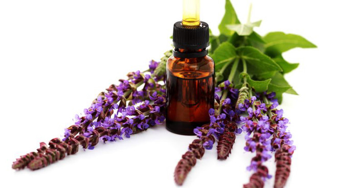 Tinh dầu xô thơm bạc hà là chất chống oxy hóa hiệu quả và có thể giảm các tác động gây tổn hại lên da của các gốc tự do có hại. Các gốc tự do có thể làm tổn thương DNA của da và đẩy nhanh quá trình lão hóa.