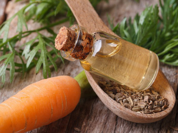 Tinh dầu hạt cà rốt nổi tiếng nhờ thành phần chống nắng. Nó được sử dụng rộng rãi trong các công thức mỹ phẩm nhờ các hoạt chất chống oxy hóa. Một nghiên cứu cho thấy, các loại mỹ phẩm có thành phần dầu hạt cà rốt có thể làm trẻ hóa làn da bằng cách duy trì các tế bào da khỏe mạnh. Lưu ý: Để các loại tinh dầu thiên nhiên phát huy hiệu quả và không gây kích ứng cho da, bạn cần trộn chúng với các loại dầu dẫn như dầu jojoba, dầu argan, dầu hạt nho, dầu quả mơ, dầu quả hạnh...