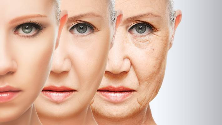 Làm chậm lão hóa: Ăn những quả trứng này thường xuyên giúp tăng cường hệ thống miễn dịch và làm chậm sự lão hóa của các cơ quan. Chất chống oxy hóa, axit béo quan trọng, selen và vitamin có trong trứng cút giúp chống lão hóa hiệu quả.