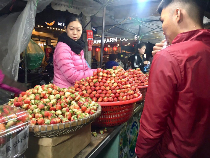 Dây tây: Những trái dâu đỏ mọng với vị chua chua, ngọt ngọt sẽ khiến bạn không thể nào cưỡng lại được. Ảnh: Lao Động.