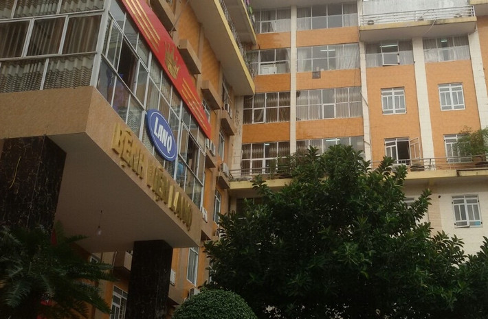 Công ty cổ phần Y dược LanQ tiền thân là Công ty TNHH Đông dược LanQ, chuyên sản xuất trà thanh nhiệt, được thành lập từ tháng 4/1999. Sau cổ phần hóa, công ty này hoạt động theo hướng thành nơi khám, chữa bệnh bằng y học cổ truyền tư nhân lớn với bệnh viện 150 giường bệnh. Công ty cũng xây dựng thêm Bệnh viện Y học cổ truyền LanQ cơ sở 2, quy mô 300 giường bệnh tại TP Bắc Giang.