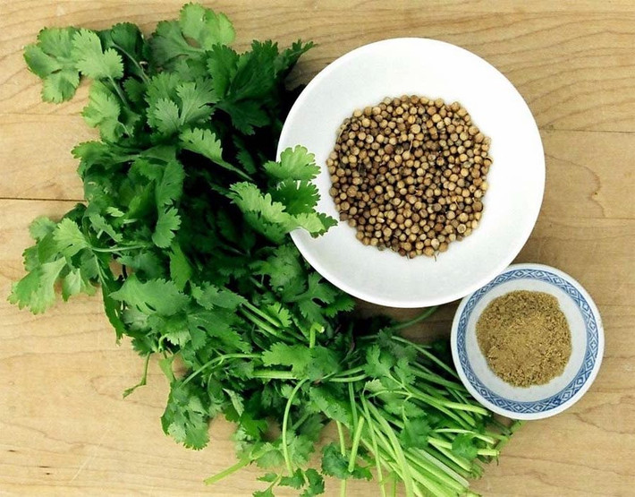 Hạt rau mùi rất có lợi cho những người bị viêm cơ quan sinh sản. Ngâm hạt trong nước qua đêm, lọc và uống nước này vào sáng hôm sau khi bụng rỗng. Uống liên tục trong 1 tuần để có kết quả tốt. Ảnh: Internet.
