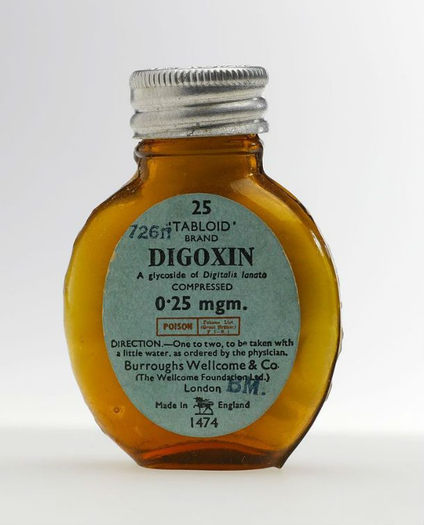 Digoxin là loại thuốc thảo dược được làm từ thuốc lá điều trị nhịp tim bất thường và suy tim. Do các phản ứng phụ tiêu cực, thuốc này không còn được sử dụng nữa. Ảnh: Slideshare.