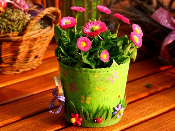 Không chỉ cải thiện chất lượng không khí, cây cảnh còn loại bỏ vi khuẩn và các hạt bụi khỏi không khí, đặc biệt là vào mùa đông. Điều này giúp chúng ta hạn chế được một số bệnh tật. Sau đây là 9 loại cây trồng lọc không khí tốt mà bạn nên đặt trong phòng ngủ. Ảnh: Boldsky.