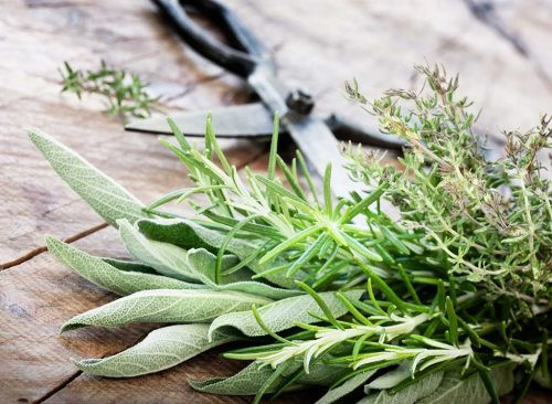 Một mẹo tiết kiệm chi tiêu của các bà nội trợ là trước khi đi mua sắm, hãy xem lại những gì mình đã có sẵn trong bếp như các loại thảo mộc và gia vị. Những thứ này có thể giúp bạn tiết kiệm một khoản không nhỏ. Ảnh: Shutterstock.