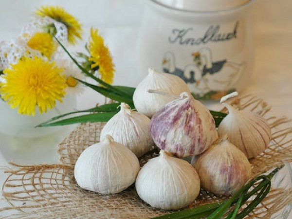 Xay tỏi, chiết nước ép và pha loãng với 10 phần nước. Đổ vào lọ để nhỏ giọt vào mũi nhẹ nhàng. Ảnh: Boldsky.