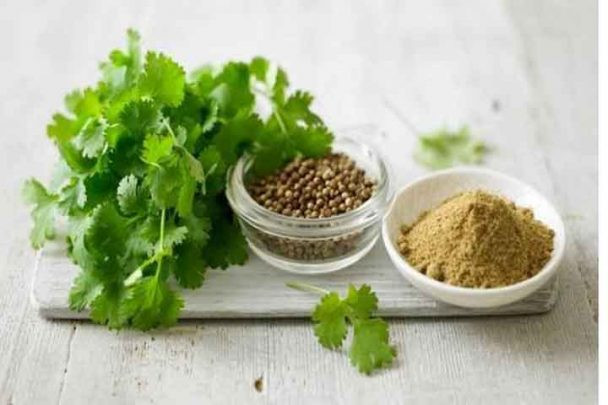 Hạt rau mùi, với tính chất sát trùng nên được sử dụng để trị mụn trứng cá, mụn nhọt và các vấn đề liên quan đến da khác. Ảnh: Wonderslist.