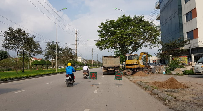 Công việc triển khai thay thế cây xanh đang được gấp rút tiến hành.