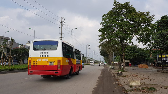 Việc thay thế hàng loạt cây xanh dọc hai ven đường Trường Chinh khiến người dân quan tâm. Bởi đang vào mùa nắng nóng, những cây xanh cũ cho bóng mát bị thay thế.
