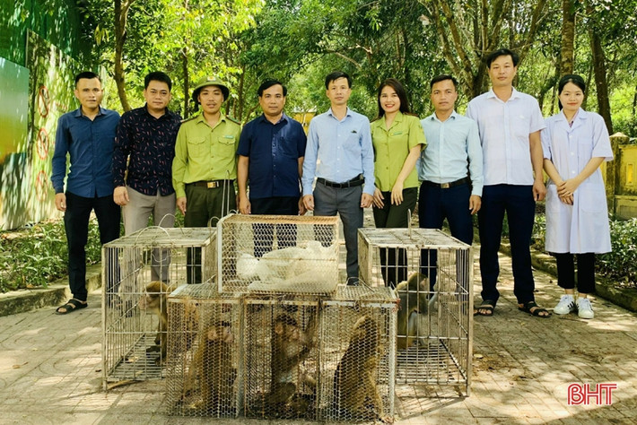 Vào ngày 1/7, Vườn Quốc gia Vũ Quang (tỉnh Hà Tĩnh) thông báo trong 2 ngày (29 và 30/6), đơn vị phối hợp với các cơ quan chức năng và chính quyền địa phương tiến hành tái thả nhiều động vật hoang dã nguy cấp quý hiếm về môi trường tự nhiên nhằm thực hiện công tác bảo tồn đa dạng sinh học.