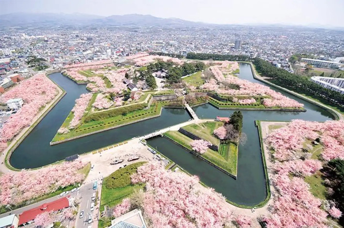 Công viên Goryokaku, Hokkaido, là một di tích lịch sử nổi tiếng, còn được gọi là lâu đài hình ngôi sao. Có khoảng 1.530 cây hoa anh đào trồng trong công viên, hoa thường nở rộ vào cuối tháng 4. Ảnh: IT.