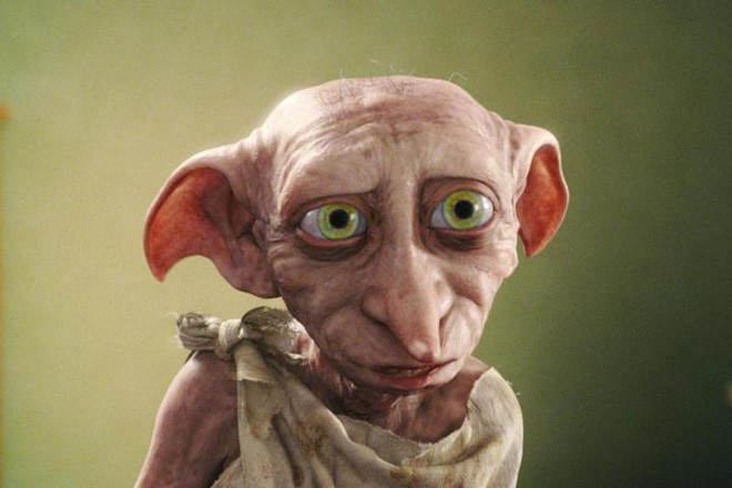 Bên cạnh đó, cũng có người nói rằng, mèo Yoda với đôi tai xòe sang hai bên và đôi mắt to tròn, long lanh còn giống cả yêu tinh Dobby trong bộ phim nổi tiếng Harry Potter.