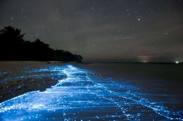 Bãi biển Vadodhu ở Maldives thường được gọi là "Thiên đường Trái đất" nhờ vẻ đẹp tuyệt mỹ. Có những thời điểm, bãi biển phát sáng đẹp như dải thiên hà, đây là do các vi sinh vật sống dưới biển tạo nên.