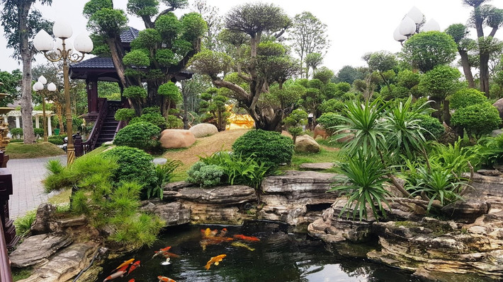 Công viên Ô Mễ cũng có bể cá Koi hàng trăm con được đắp đá nhân tạo, bể cả hải tượng có con nặng đến cả tạ, đôi thiên nga, chim công, gà rừng, khỉ, chuồng chim chào mào hàng chục con…