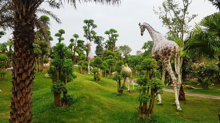 Ông Đặng Văn Suy (62 tuổi), một giáo viên nghỉ hưu và cũng là hàng xóm nhà anh Chiến cho biết, với người dân địa phương, công viên này rất quý. Bởi xã Hưng Đạo đất chật người đông nhưng khu vui chơi giải trí dành cho người dân lại rất ít. Bản thân ông Suy đặt stent tim nhiều năm nay, nhờ mỗi ngày ra công viên tập thể dục, hưởng không khí trong lành nên giờ khỏe mạnh hơn.
