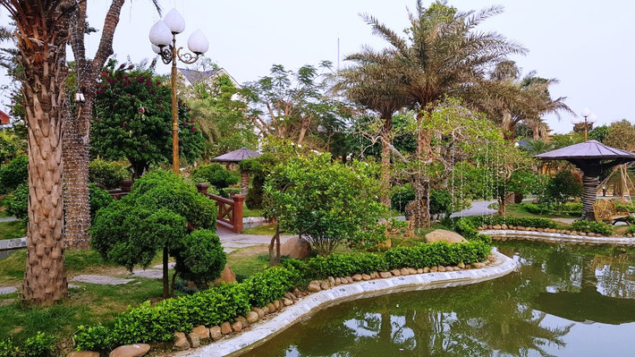 “Có thời điểm chính quyền có ý muốn biến nơi đây thành khu dân cư nhưng bà con không đồng ý, tuy nhiên khi cháu Chiến đặt vấn đề làm công viên ai cũng đồng lòng. Khu chuyển đổi trồng cây lâu năm này đã được huyện phê duyệt, bắt đầu cải tạo cách đây 7 năm trên chính nền là những thửa ruộng trồng màu xưa phun toàn thuốc sâu, tổng diện tích 10.000m2”, ông Suy nói.