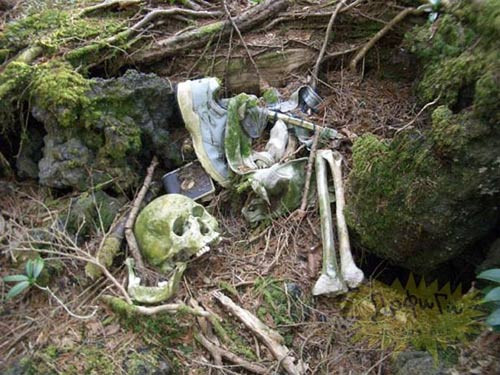 "Rừng tự sát" Aokigahara ở Nhật Bản là một địa điểm hãi hùng khét tiếng thế giới. Nơi đây là một trong những địa điểm có nhiều người tự sát nhất thế giới. Mỗi năm có tới hàng chục người đến đây tự sát. Vì vậy, chính quyền địa phương đã cử các nhân viên vào rừng tìm kiếm thi thể người tự tử cũng như đặt biển thông báo ngay trước cửa rừng và treo trên thân cây với dòng chữ: "Hãy suy nghĩ lại. Xin hãy tham khảo ý kiến các nhà tư vấn trước khi bạn có quyết định tìm đến cái chết”.