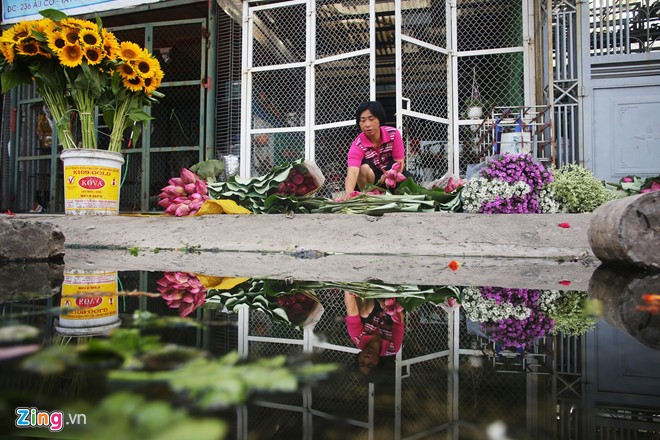 Các gánh hàng sen bắt đầu xuất hiện tràn ngập tại đường Yên Phụ.