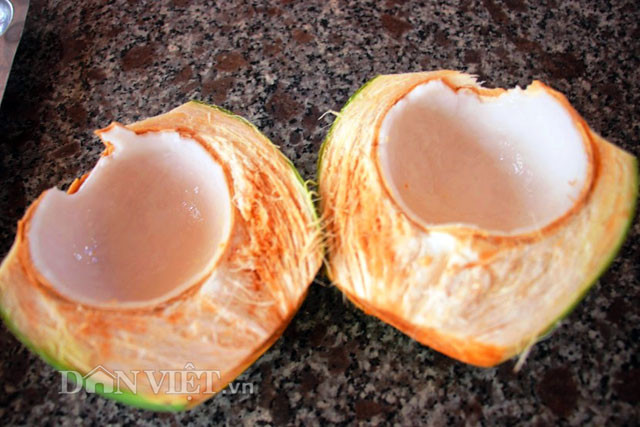 Nước, cơm dừa ngọt và thơm hơn dừa trồng vùng đất khác
