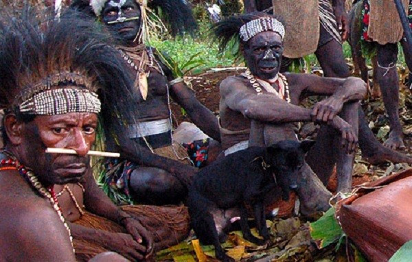 Tộc người Yanomami sống ở sâu trong rừng rậm Amazon có tục lệ kỳ lạ là uống tro cốt người chết sau khi hoả táng như một cách để bày tỏ lòng thương xót người đã khuất.