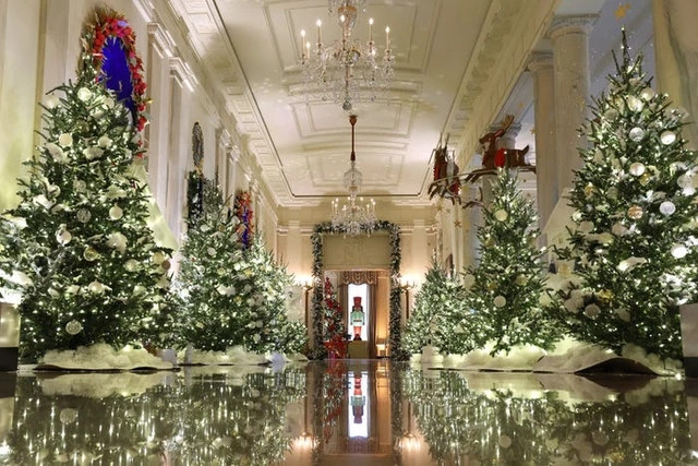 Cross Hall lộng lẫy với hàng thông Giáng sinh tông trắng sang trọng.